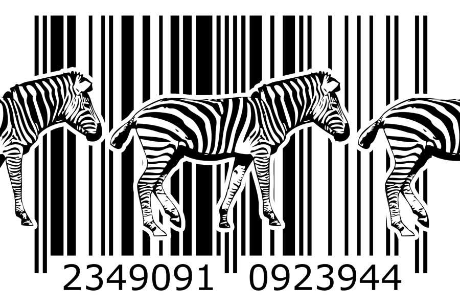Fotoobraz Abstrakcja na płótnie, zwierzęta zebra jako kod kreskowy - X1VC216 beton architektoniczny