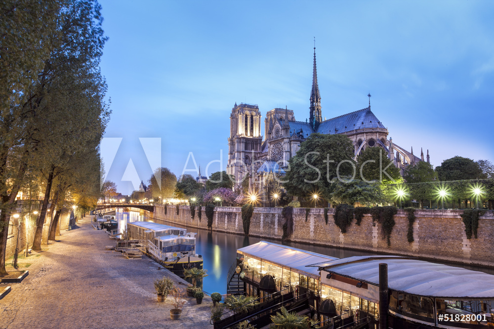 Obraz na płótnie Notre Dame de Paris