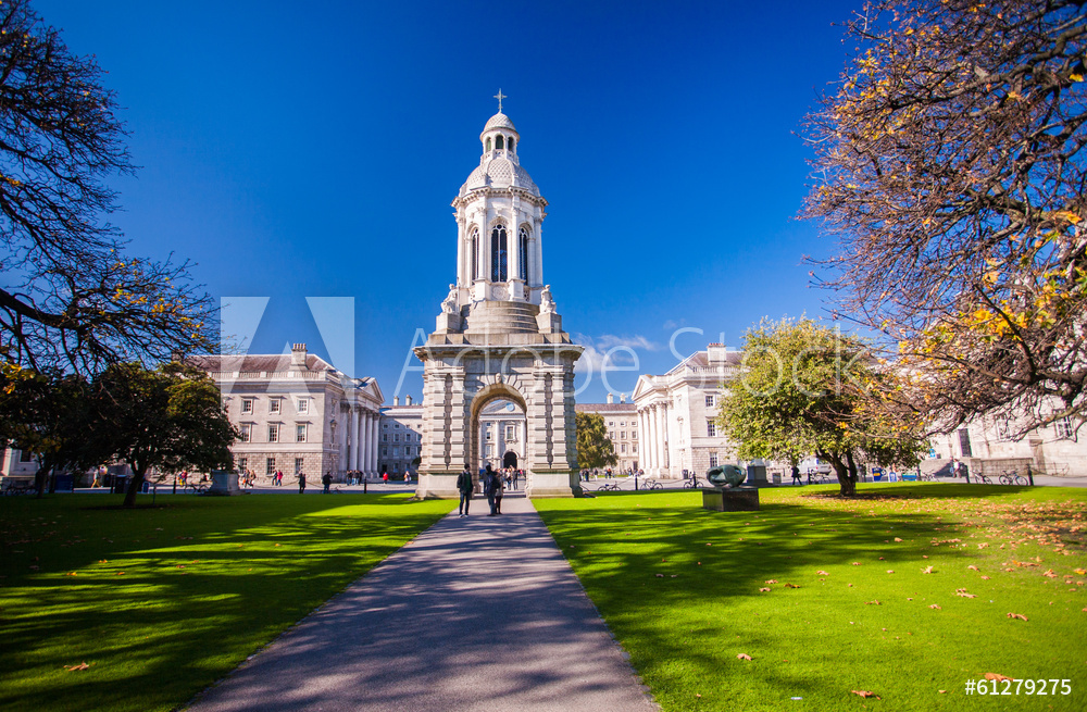 Obraz na płótnie  Szkoła Wyższa w Dublinie | Obraz na płótnie w salonie