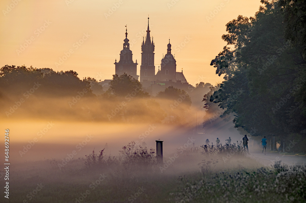 Panorama Katedry Wawelskiej we mgle o wschodzie, złote niebo nad sylwetą wież, ciemna zieleń w pierwszym planie - obraz drukowany na płótnie