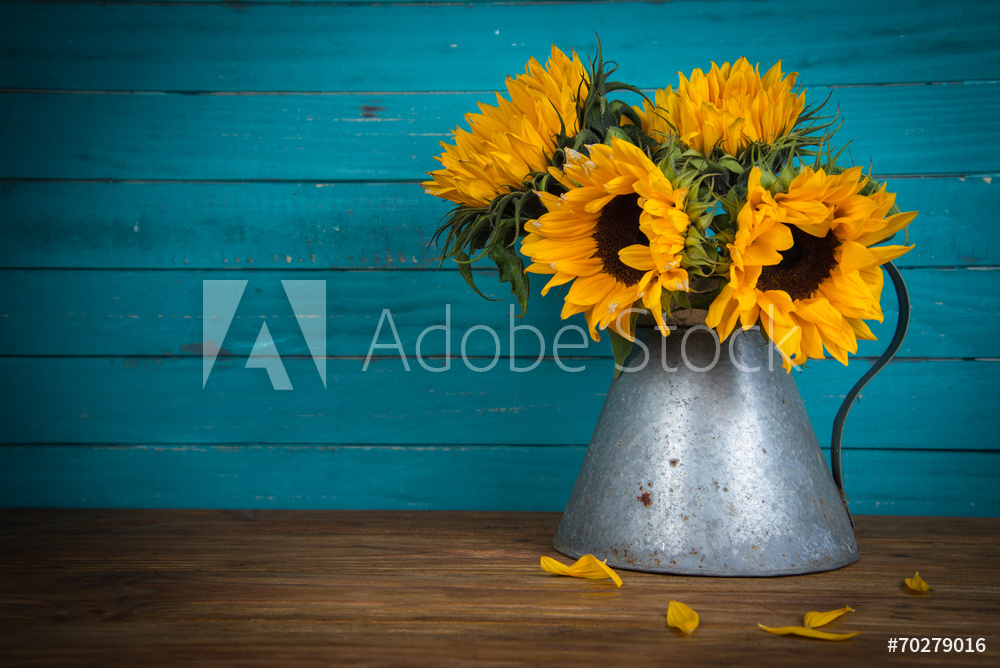 Obraz drukowany na płótnie sunflower in metal vase