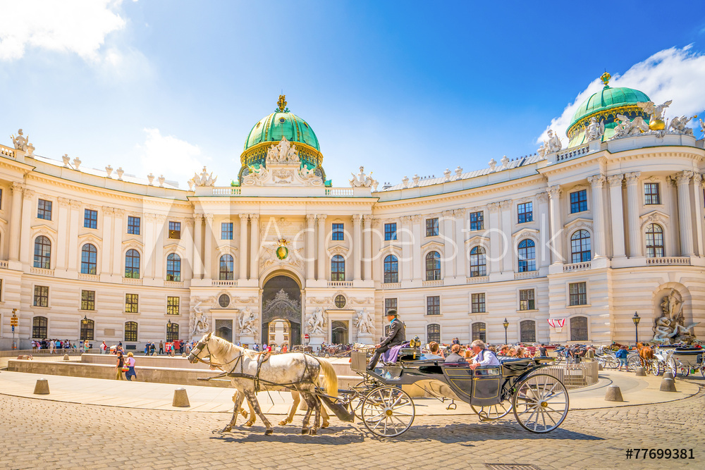 Obraz na płótnie Alte Hofburg, Wien w salonie