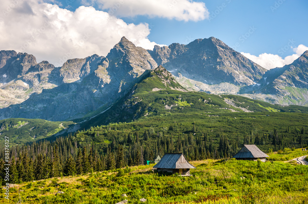 Malowniczy krajobraz górski z widokiem na Tatry, zielone hale, drewniane chaty i lasy iglaste na pierwszym planie. Słowa kluczowe: Tatry, krajobraz górski, drewniane chaty, natura, pejzaż.