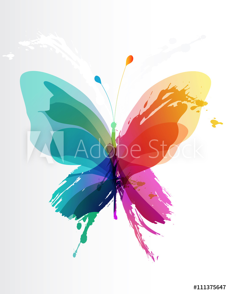 Obraz na płótnie Kolorowy motyl  w salonie