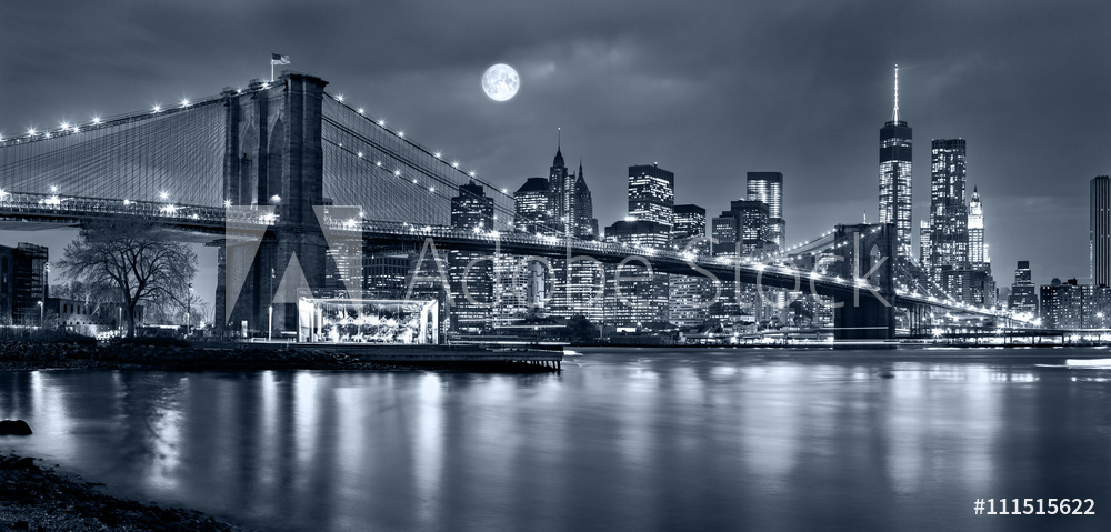 Obraz drukowany na płótnie Nocna panorama Nowego Jorku