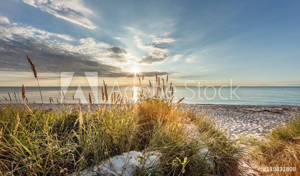 Fotoobraz Dzika plaża nad Bałtykiem | fotoobraz beton architektoniczny