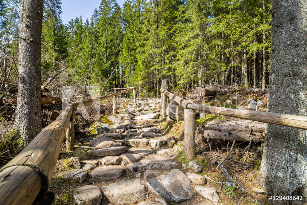 Obraz na płótnie Zakopane, droga na Morskie Oko, góry Tatry w salonie