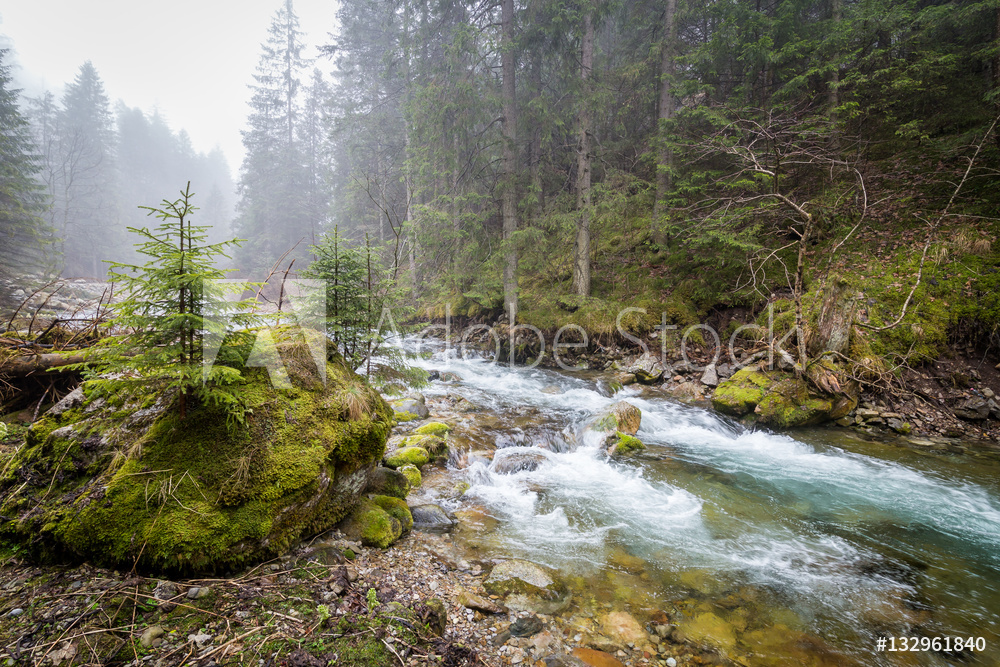 Dolina Kościeliska, Zakopane