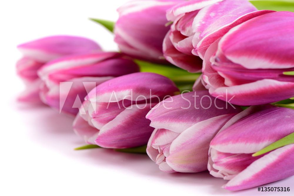 Obraz na płótnie Bukiet tulipanów w salonie