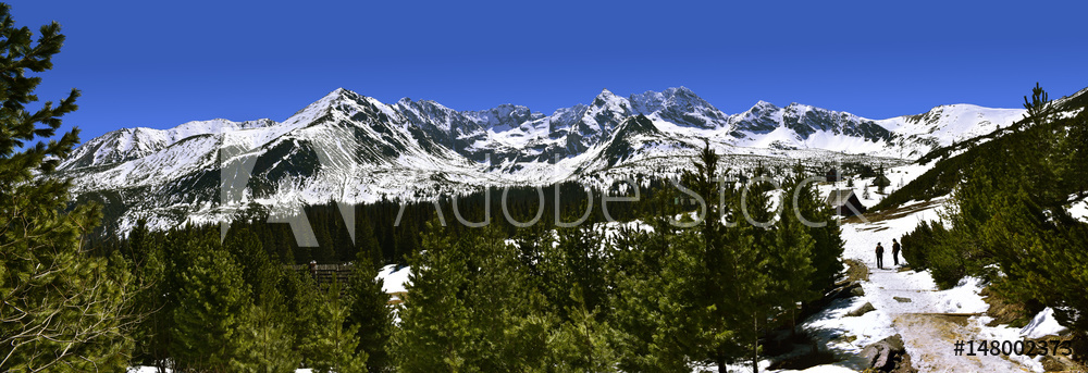 Obraz na płótnie Panoramic view of Gasienicowa valley in Tatra mountain. w salonie