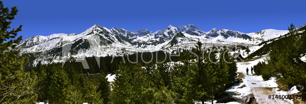 Panoramic view of Gasienicowa valley in Tatra mountain.