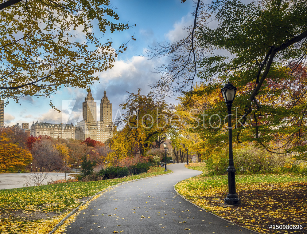 Obraz drukowany na płótnie Central Park późną jesienią