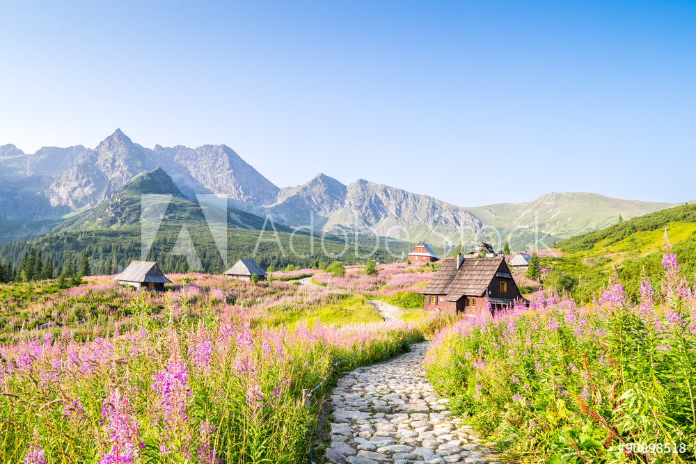 Wooden huts scattered on flowery meadow