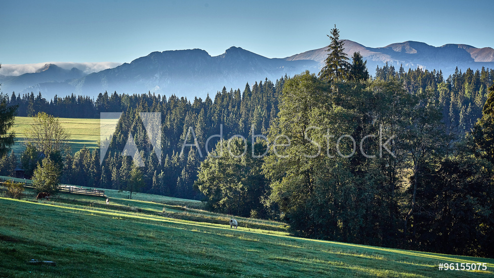 Obraz na płótnie Widok z miejscowości Ząb na Tatry w salonie