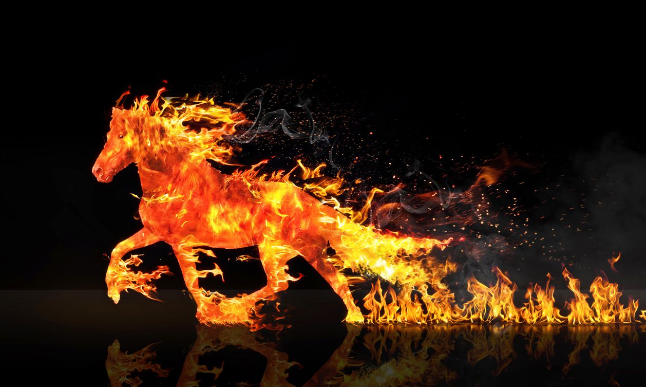 Obraz drukowany na płótnie ognisty koń