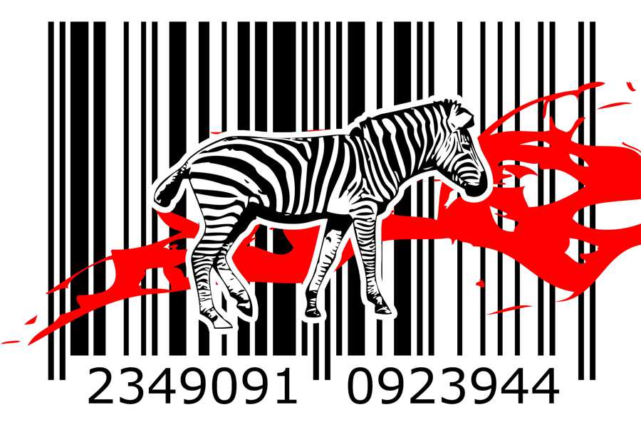 Obraz na płótnie Zebra i kod kreskowy w salonie