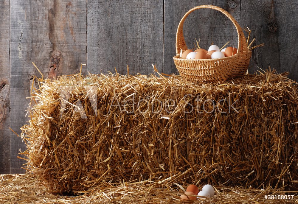 Siano i koszyk z jajkami